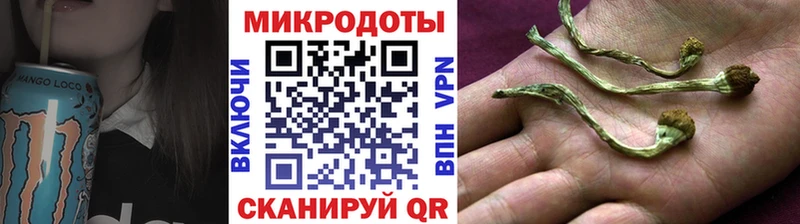 купить  цена  Электроугли  Галлюциногенные грибы Cubensis 